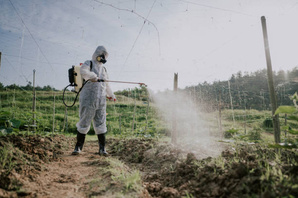 Best Ant Control Services  in Clifton, TX