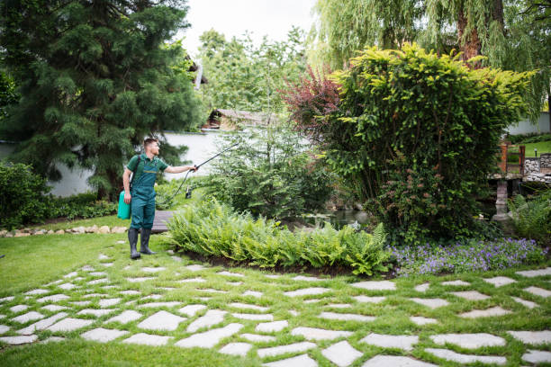 Pest Prevention Services in Clifton, TX