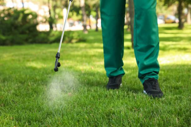 Best Flea Control Services  in Clifton, TX