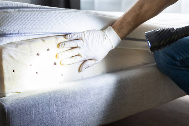 Best Best Pest Control Companies  in Clifton, TX