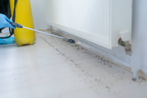 Professional Pest Control in Clifton, TX