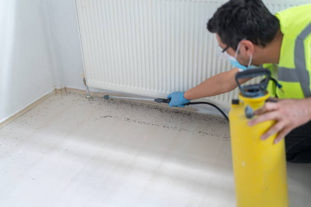 Best Best Pest Control Companies  in Clifton, TX